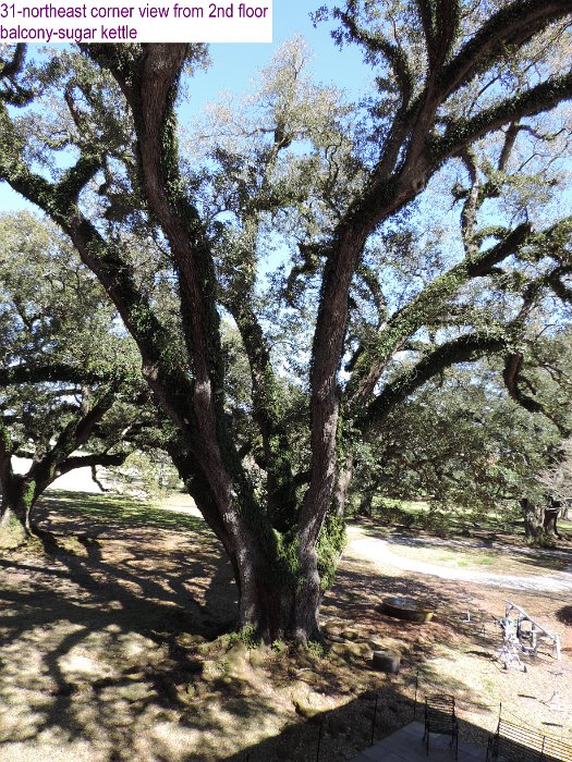 31-northeast corner view from 2nd floor balcony-sugar kettle.jpg